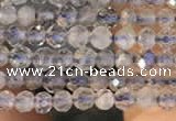 CTG2133 15 inches 2mm,3mm faceted round labradorite gemstone beads