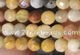 CTG2219 15 inches 2mm,3mm faceted round crazy lace agate beads