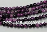 CTJ500 15.5 inches 4mm round dyed purple jasper beads wholesale
