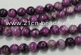 CTJ501 15.5 inches 6mm round dyed purple jasper beads wholesale