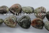 CUG171 15.5 inches 16*16mm heart australian unakite beads