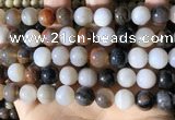 CWJ572 15.5 inches 12mm round Arizona petrified wood jasper beads