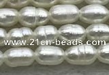 FWP153 14.5 inches 2mm - 3mm rice white freshwater pearl strands