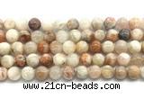 CSS852 15.5 inches 10mm round sunstone beads wholesale