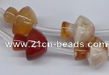 CAA1193 15.5 inches 15*16mm mushroom sakura agate gemstone beads