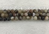 CAA1813 15.5 inches 10mm round banded agate gemstone beads