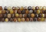 CAA1863 15.5 inches 10mm round banded agate gemstone beads