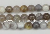 CAA224 15.5 inches 8mm round botswana agate gemstone beads