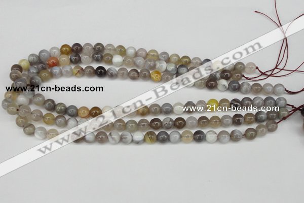 CAA224 15.5 inches 8mm round botswana agate gemstone beads