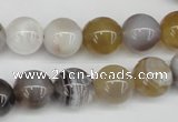 CAA226 15.5 inches 12mm round botswana agate gemstone beads