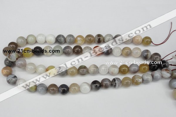 CAA226 15.5 inches 12mm round botswana agate gemstone beads