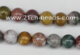 CAA231 15.5 inches 10mm round ocean agate gemstone beads wholesale