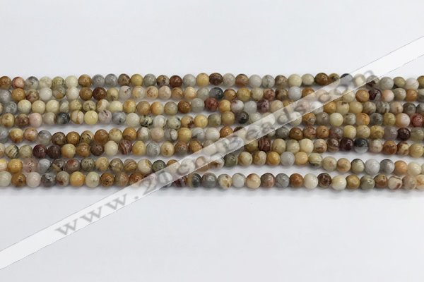 CAA2348 15.5 inches 4mm round crazy lace agate beads wholesale