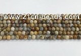 CAA2349 15.5 inches 6mm round crazy lace agate beads wholesale