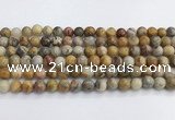 CAA2350 15.5 inches 8mm round crazy lace agate beads wholesale