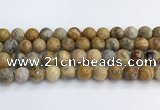 CAA2353 15.5 inches 14mm round crazy lace agate beads wholesale