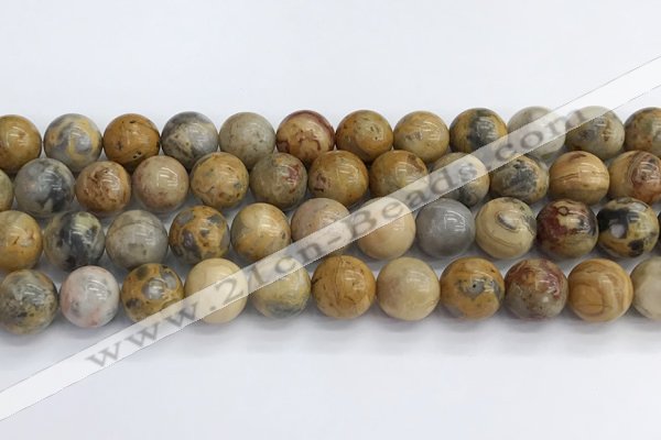 CAA2353 15.5 inches 14mm round crazy lace agate beads wholesale