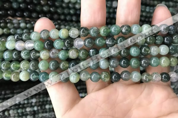 CAA2357 15.5 inches 6mm round moss agate beads wholesale