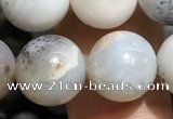 CAA3578 15.5 inches 10mm round parral dendrite agate beads