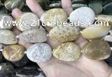 CAA3724 25*35mm - 30*40mm freeform chrysanthemum agate beads