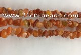 CAA3806 15.5 inches 4*6mm - 8*10mm chips red agate beads wholesale