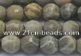 CAA3961 15.5 inches 6mm faceted round chrysanthemum agate beads