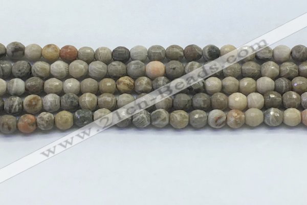 CAA3961 15.5 inches 6mm faceted round chrysanthemum agate beads