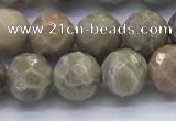 CAA3962 15.5 inches 8mm faceted round chrysanthemum agate beads