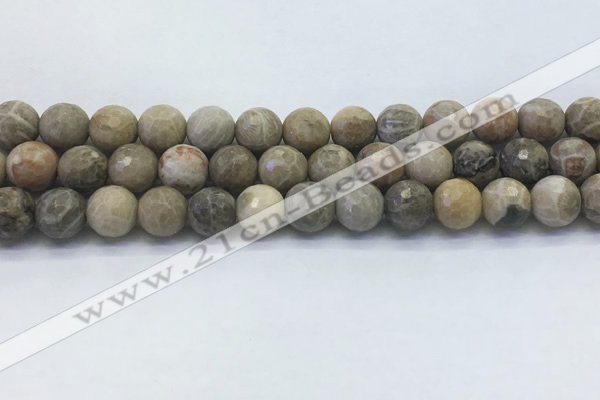 CAA3963 15.5 inches 10mm faceted round chrysanthemum agate beads