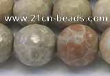 CAA3965 15.5 inches 14mm faceted round chrysanthemum agate beads