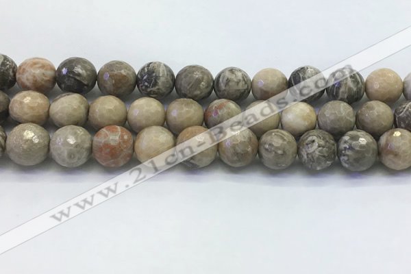 CAA3965 15.5 inches 14mm faceted round chrysanthemum agate beads