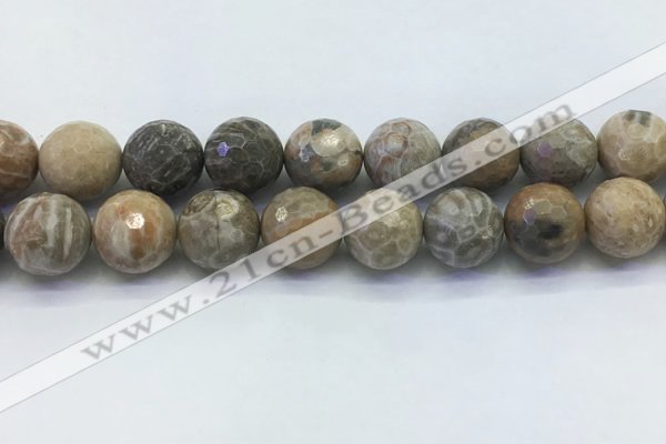 CAA3967 15.5 inches 18mm faceted round chrysanthemum agate beads