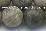 CAA3968 15.5 inches 20mm faceted round chrysanthemum agate beads