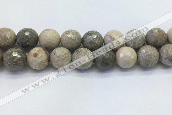 CAA3968 15.5 inches 20mm faceted round chrysanthemum agate beads