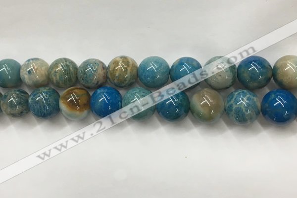 CAA3981 15.5 inches 14mm round chrysanthemum agate beads