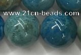 CAA3982 15.5 inches 16mm round chrysanthemum agate beads