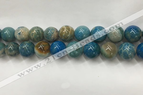 CAA3982 15.5 inches 16mm round chrysanthemum agate beads