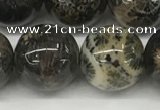 CAA4039 15.5 inches 16mm round chrysanthemum agate beads