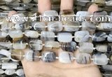 CAA4377 15.5 inches 12*16mm rectangle Montana agate beads