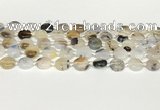 CAA4383 15.5 inches 12mm flat round Montana agate beads