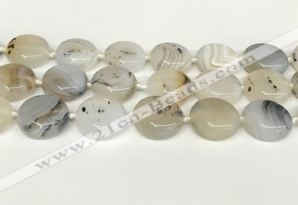 CAA4390 15.5 inches 25mm flat round Montana agate beads