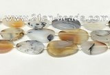 CAA4394 15.5 inches 18*28mm - 30*45mm freeform Montana agate beads