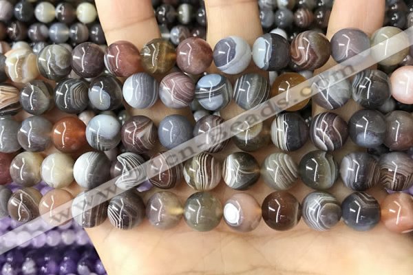 CAA4918 15.5 inches 10mm round Botswana agate beads wholesale