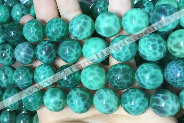 CAA5026 15.5 inches 16mm round green dragon veins agate beads