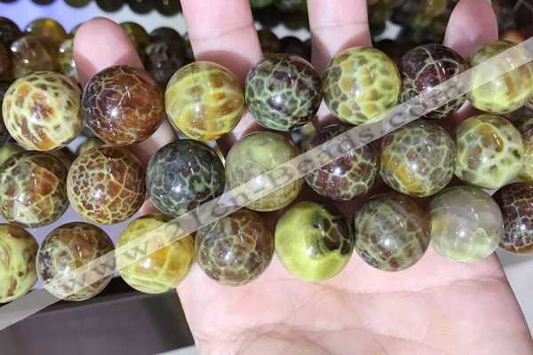 CAA5043 15.5 inches 18mm round yellow dragon veins agate beads