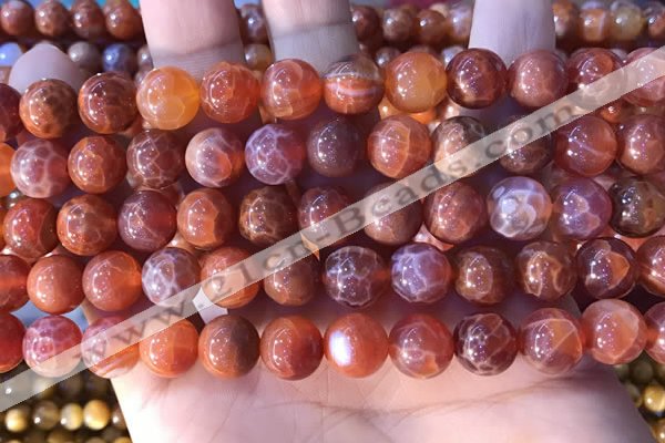 CAA5073 15.5 inches 10mm round red dragon veins agate beads