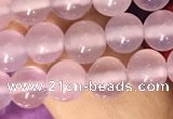 CAA5081 15.5 inches 6mm round purple agate beads wholesale