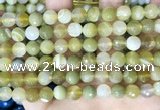 CAA5158 15.5 inches 8mm faceted round banded agate beads