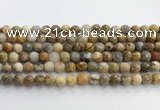 CAA5291 15.5 inches 6mm faceted round crazy lace agate beads wholesale