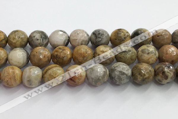 CAA5295 15.5 inches 14mm faceted round crazy lace agate beads wholesale